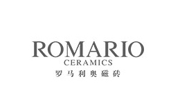 罗马利奥ROMARIO