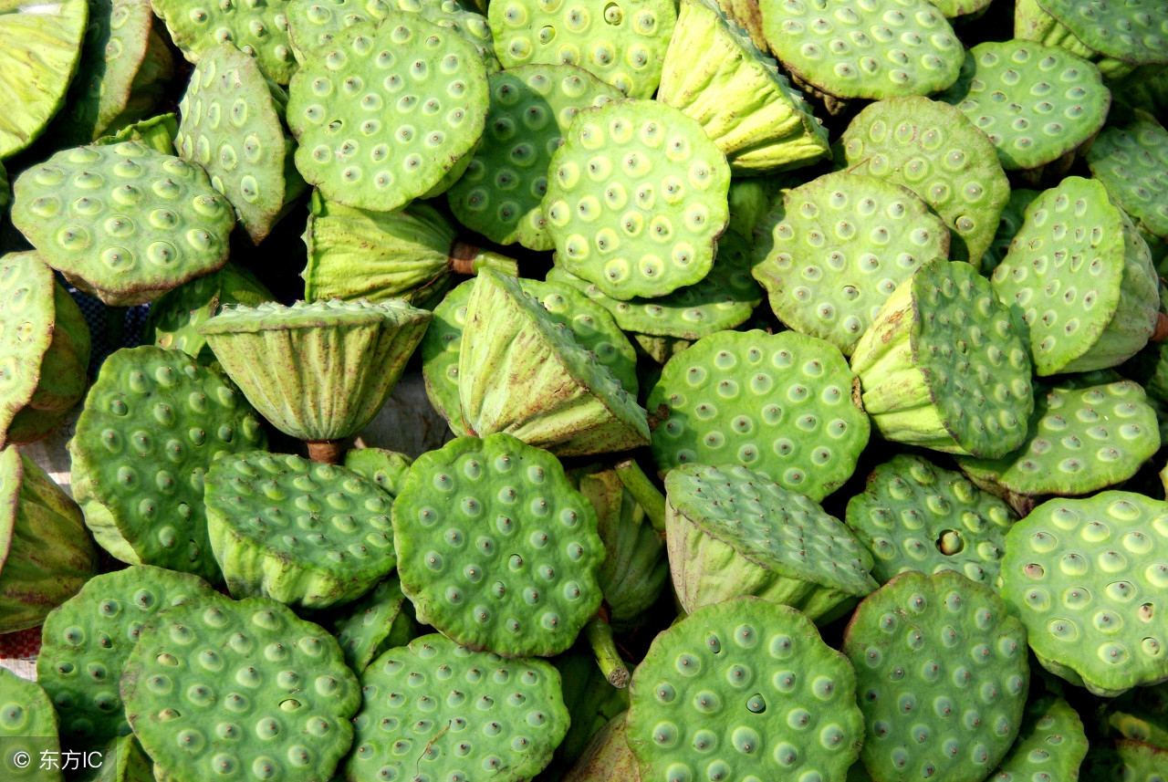 嫩莲子吃了有什么好处?好处可不止这3个,谁吃谁知道