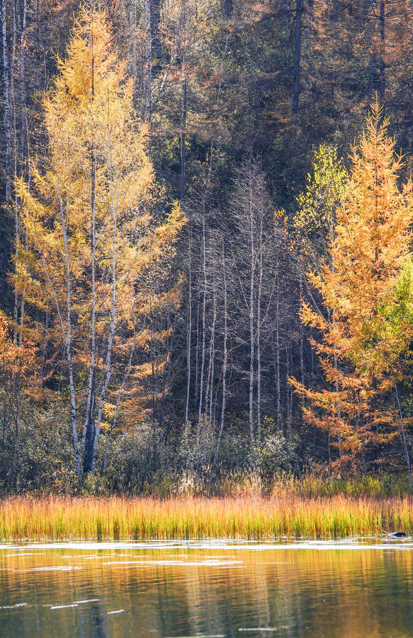 余生不将就!这15个旅行地,一个个走遍,每个都有不一样的惊喜