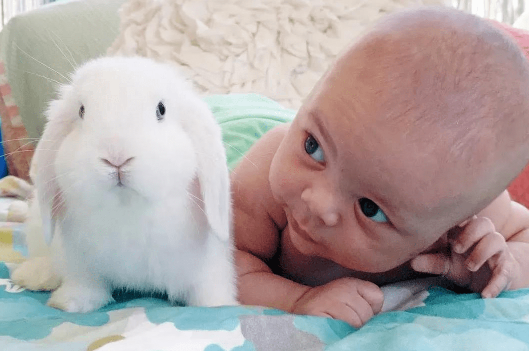 孩子为什么胆小?真正的原因都在父母身上,和性格关系不大