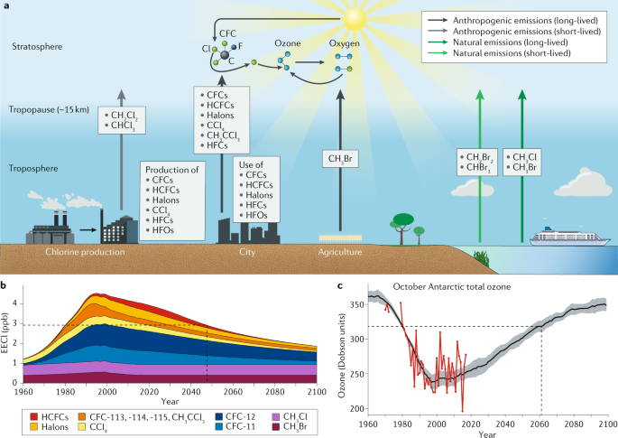 为什么现在几乎不提臭氧层空洞了,是误解还是地球臭氧已修复?