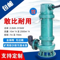 煤安认证BQS/W矿用隔爆型排沙抽水潜污防爆电动泵 矿泵厂家