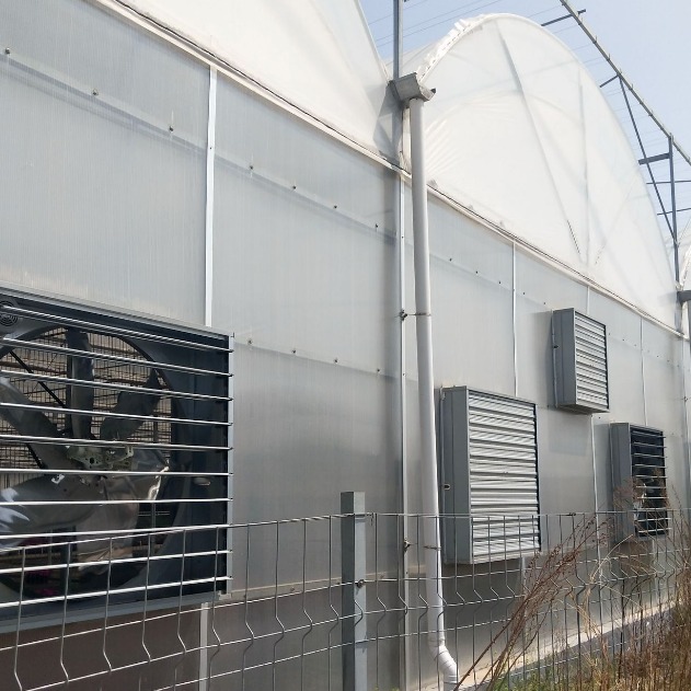 百叶风机 鸡舍风机 负压风机 百叶负压式鸡舍风机