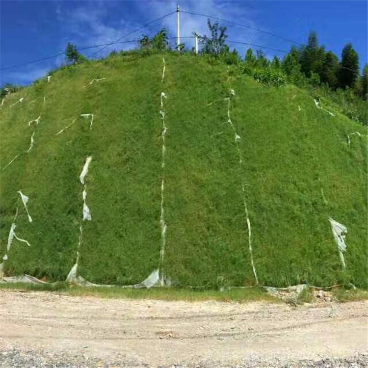 喷浆网 勾花网 冷镀丝铁丝网 绿化网厂家 中防供应