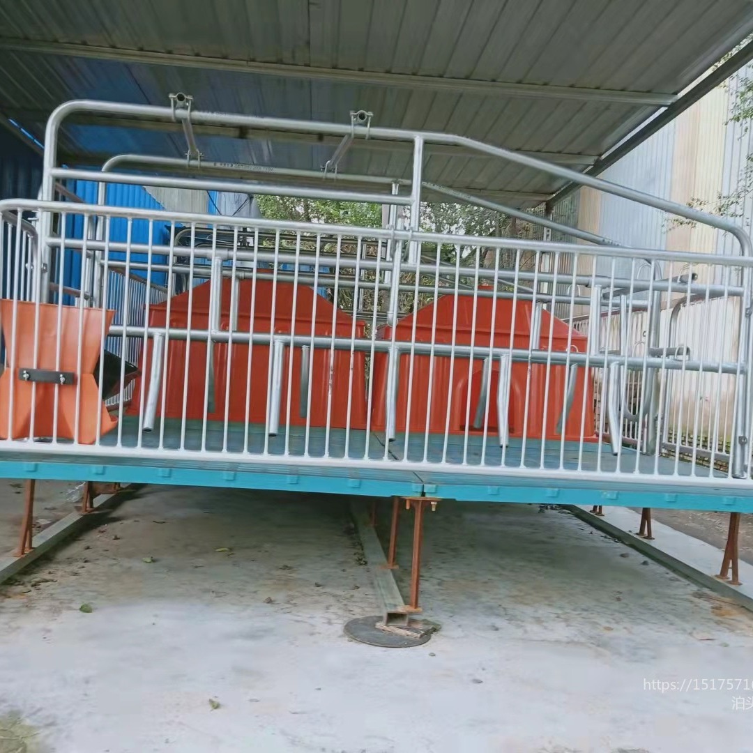 母猪产床 保育 床 产保一 体 聚安厂家