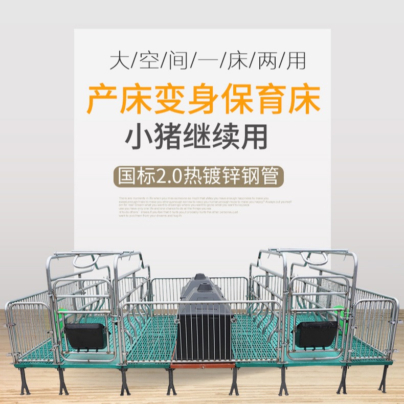 猪用产床 双体产床 安装定制 聚安厂家