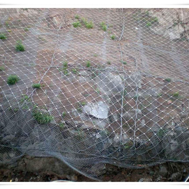 施工边坡防护网 山体滑坡边坡防护网 昌邦 订制边坡防护网 包运输