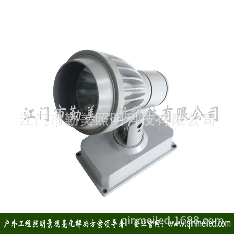 供应LED20WCOB聚光投光灯/窄光束射灯/单颗COB投射灯