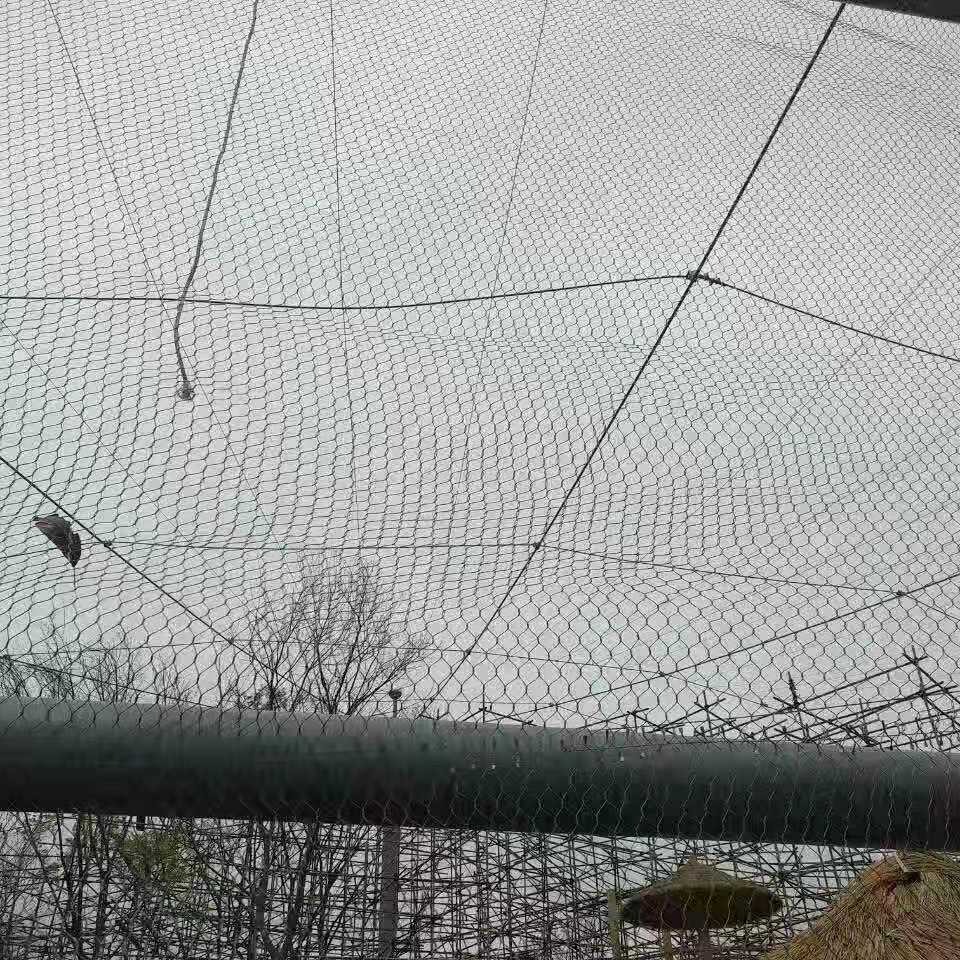 君泰 鸟园专用网 鸟园专用不锈钢绳网 鸟语林网