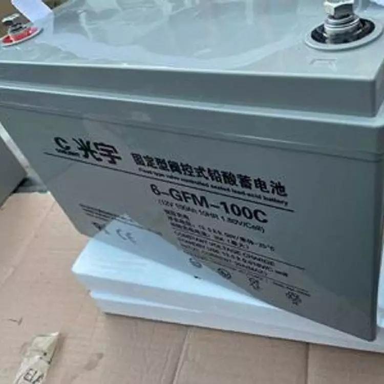 山东光宇蓄电池6-GFM-100 12V100AH免维护蓄电池 UPS电源专用 现货速发